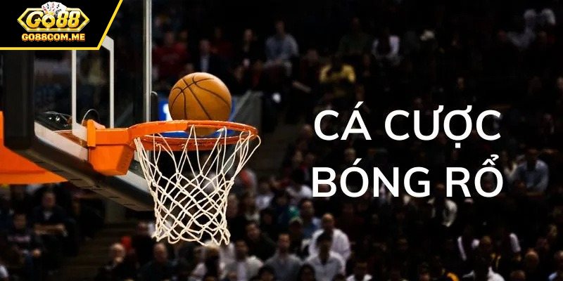Các loại kèo cá cược bóng rổ hot hiện nay