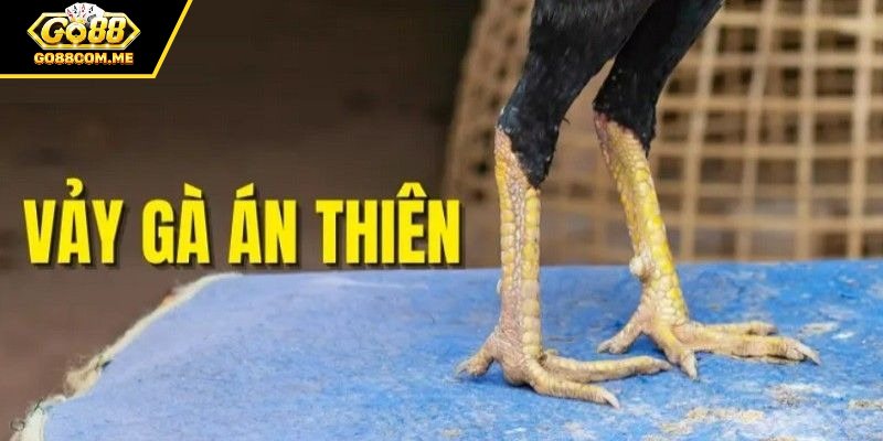 Đặc điểm nổi bật để nhận biết vảy án thiên